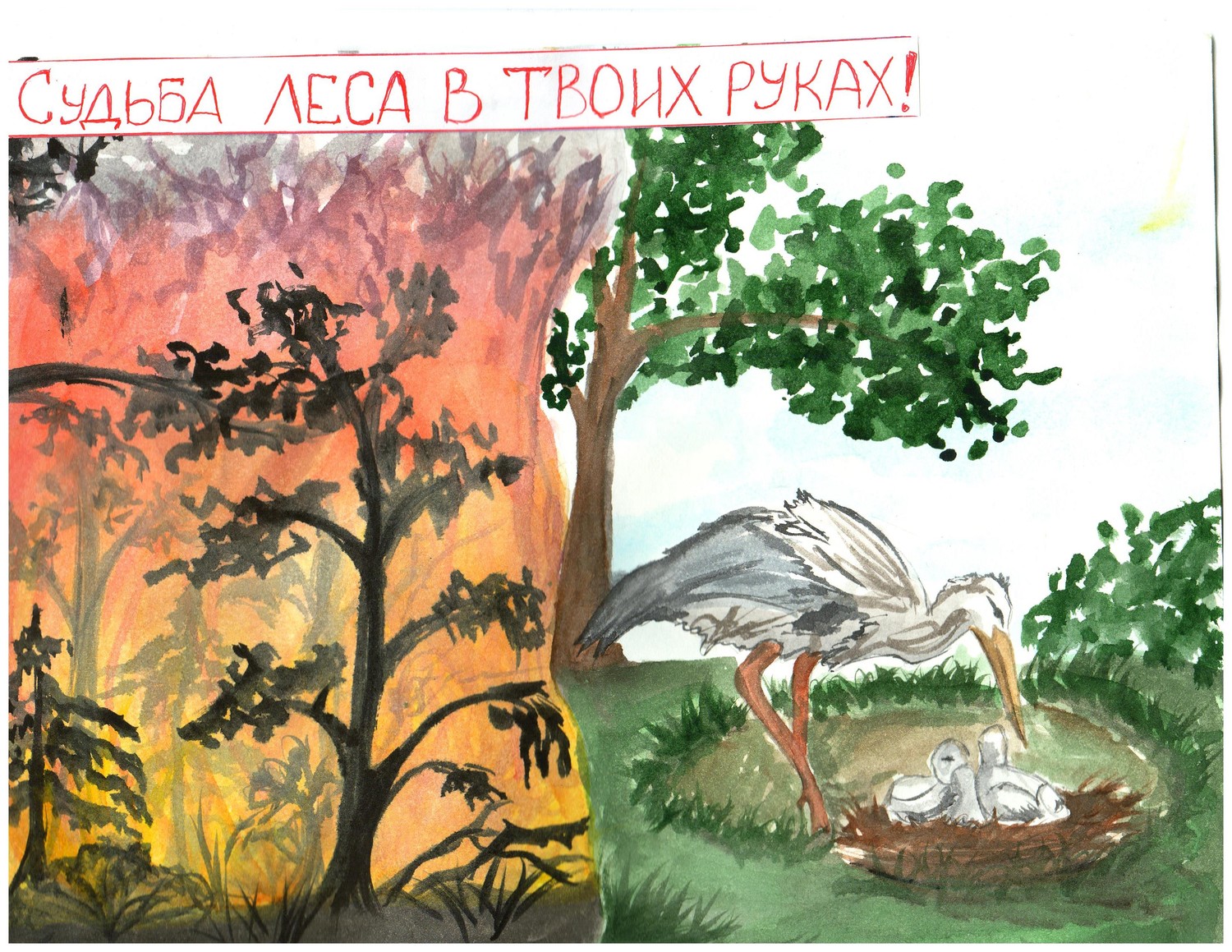 Подведены итоги XV районного конкурса "Лесные острова"