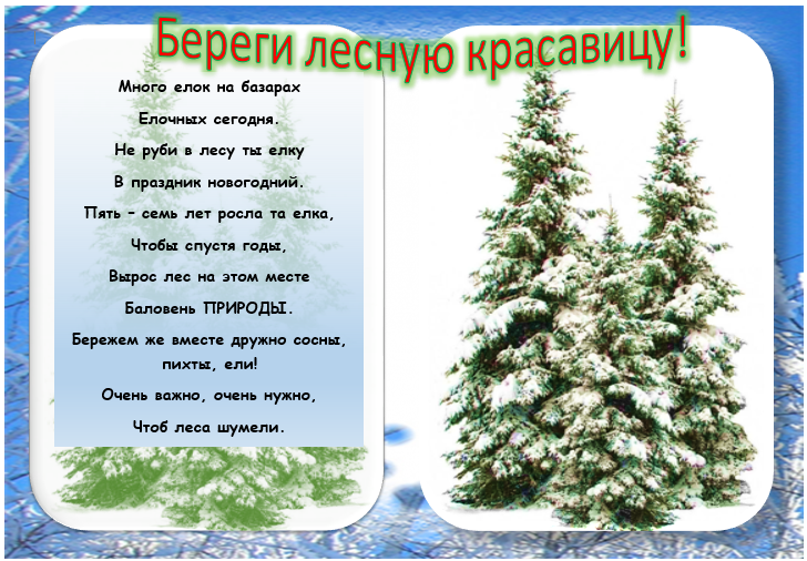 Конкурс "Береги лесную красавицу!"