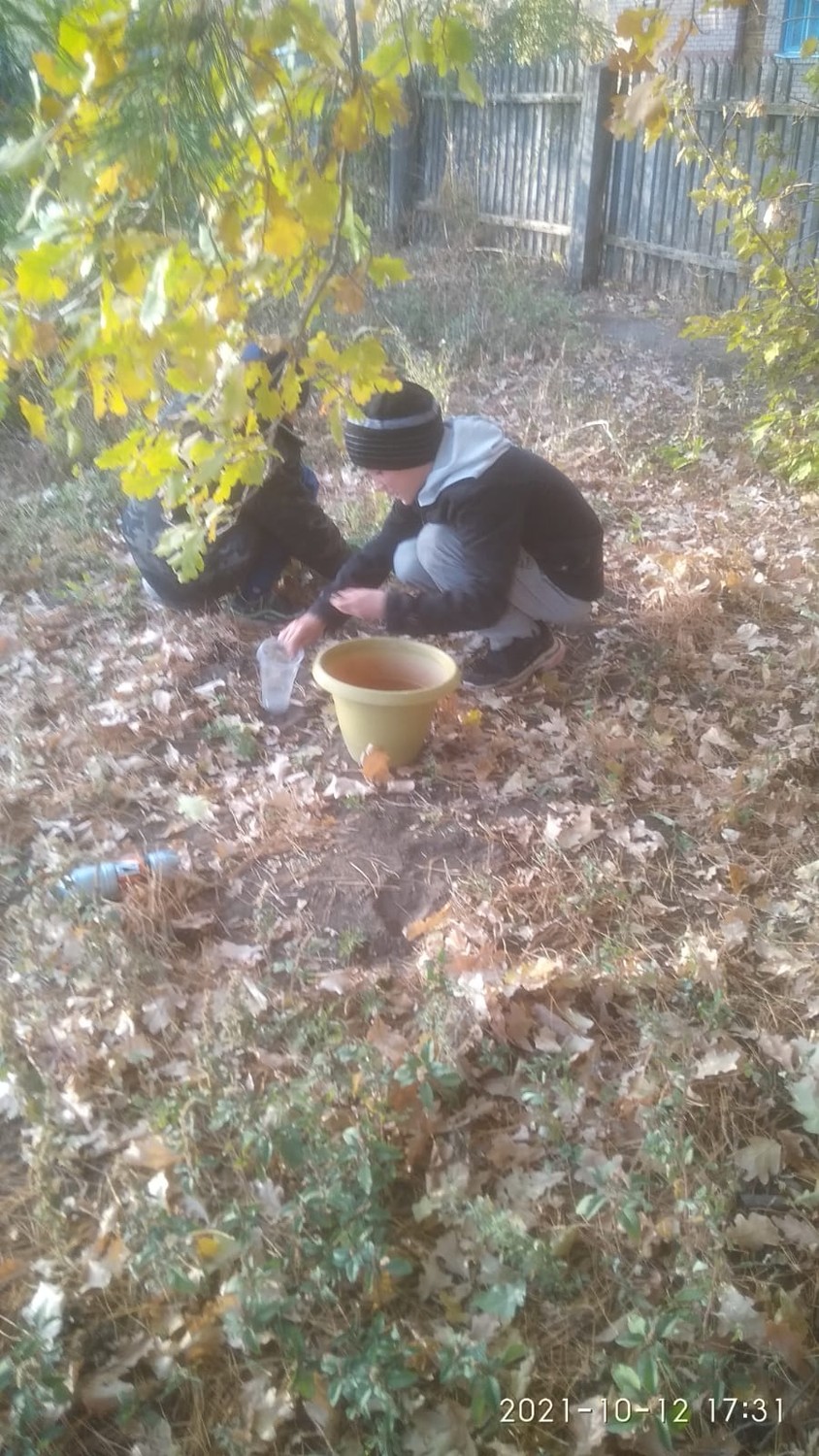 Вот это урожай!