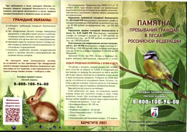 Районная конференция «Значение лесов для экологии района. Охрана лесов от пожаров»