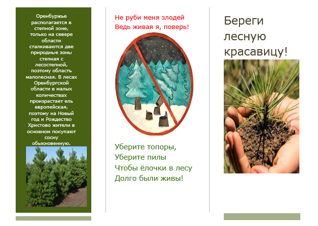 Берегите лесную красавицу!