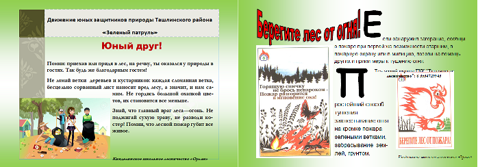 Памятка юных лесоводов
