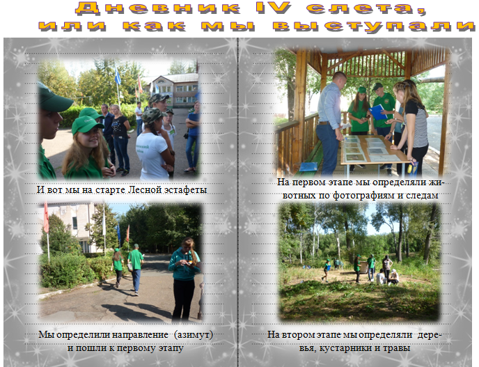 IV областной слет школьных лесничеств