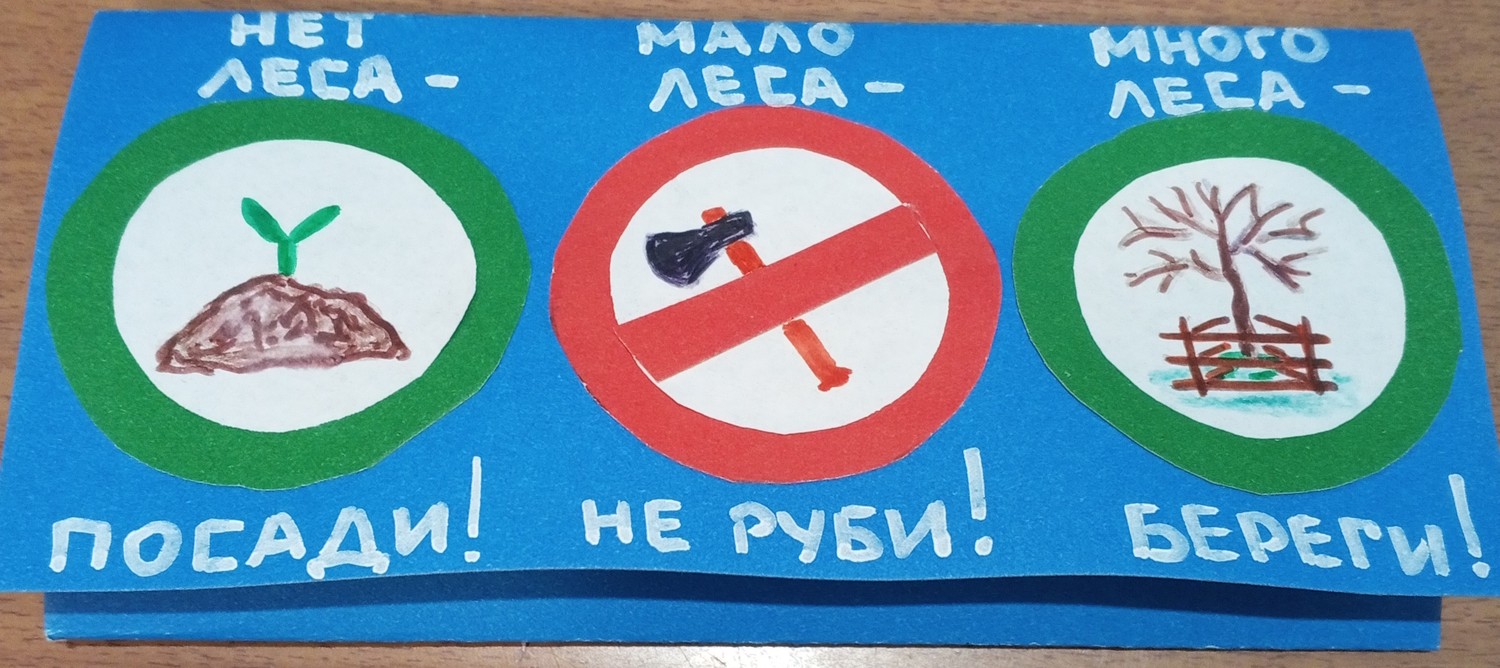 Памятки в защиту лесных красавиц сберегли не одну сосенку в наших лесах