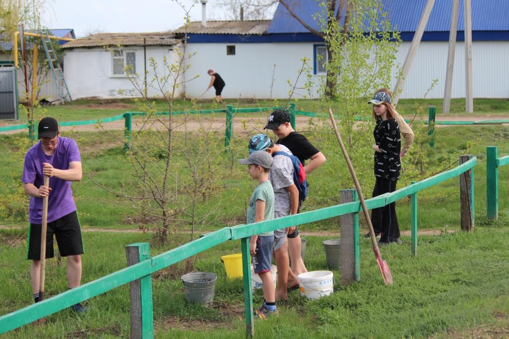 Дополняем наш Сад ПАМЯТИ