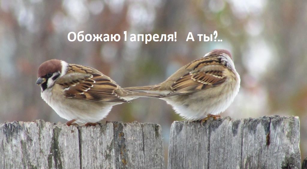 Поздравляем всех с Днем смеха! С 1 апреля вас!!!
