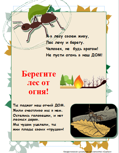 Берегите лес!!!