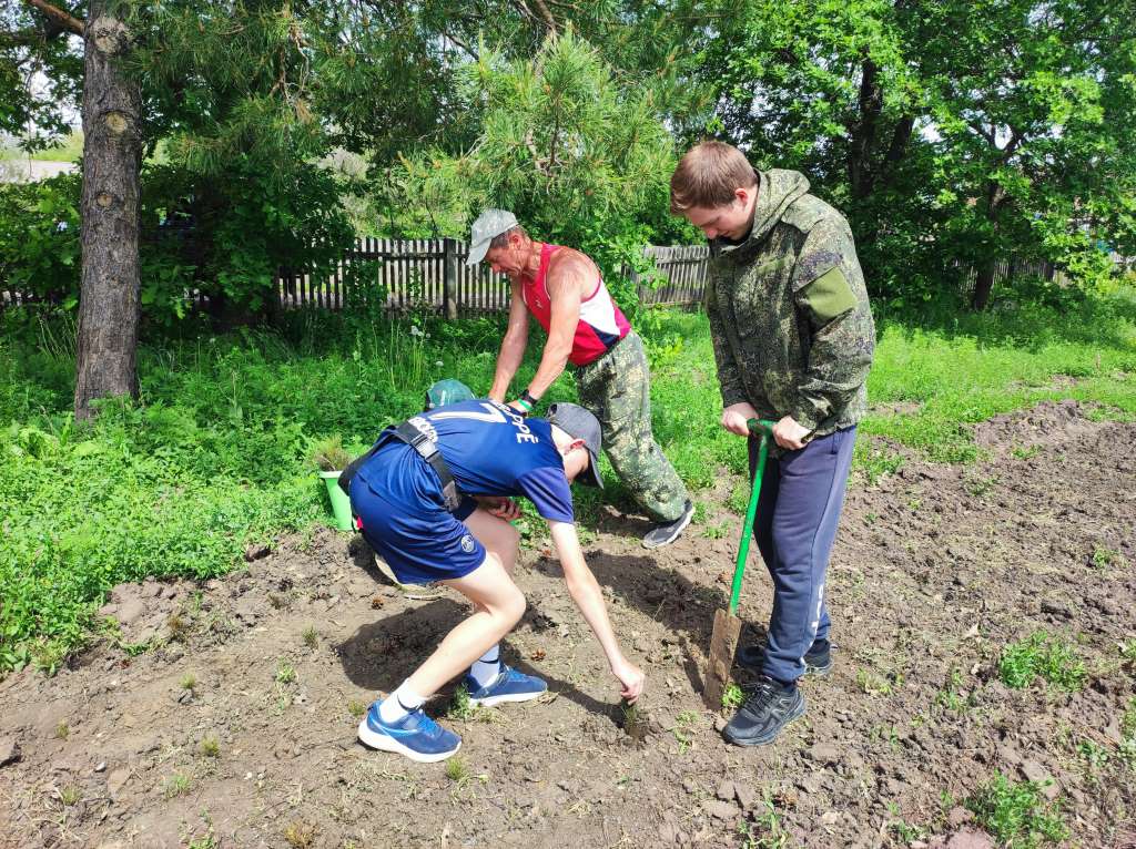 Весенние лесокультурные работы продолжаются